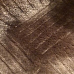 Meet your Posher, Shannon